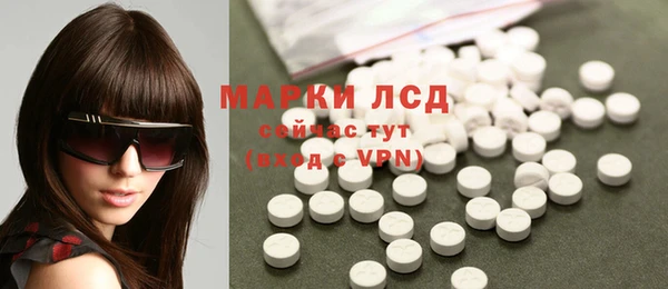 индика Нефтекумск
