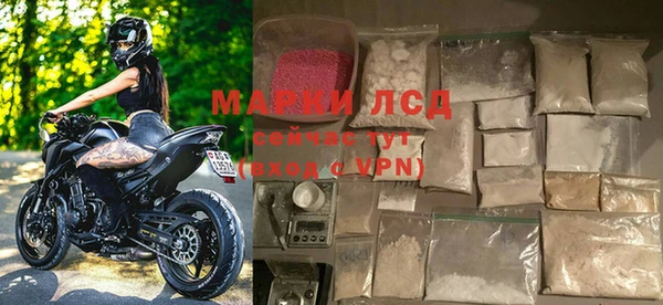 индика Нефтекумск