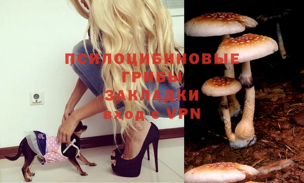 кокаин премиум Новозыбков