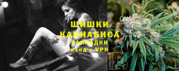 индика Нефтекумск