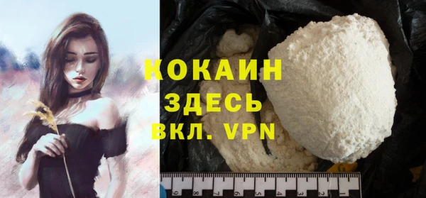 индика Нефтекумск