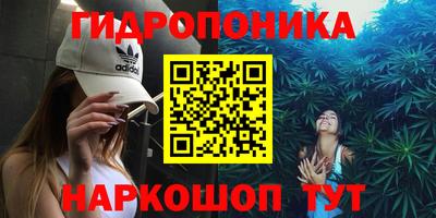 скорость Аргун