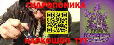 скорость Аргун