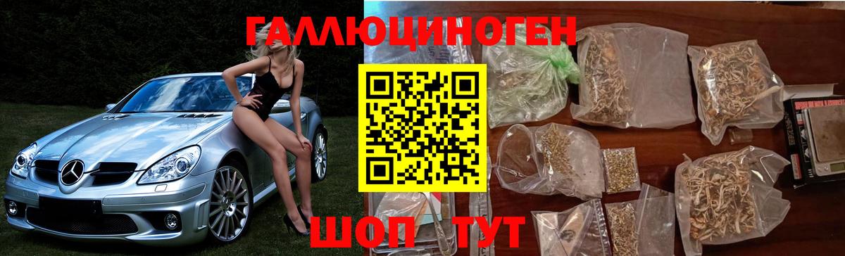 продажа наркотиков  Псилоцибиновые грибы Magic Shrooms  Вход с VPN  Галлюциногенные грибы мицелий  Мичуринск 