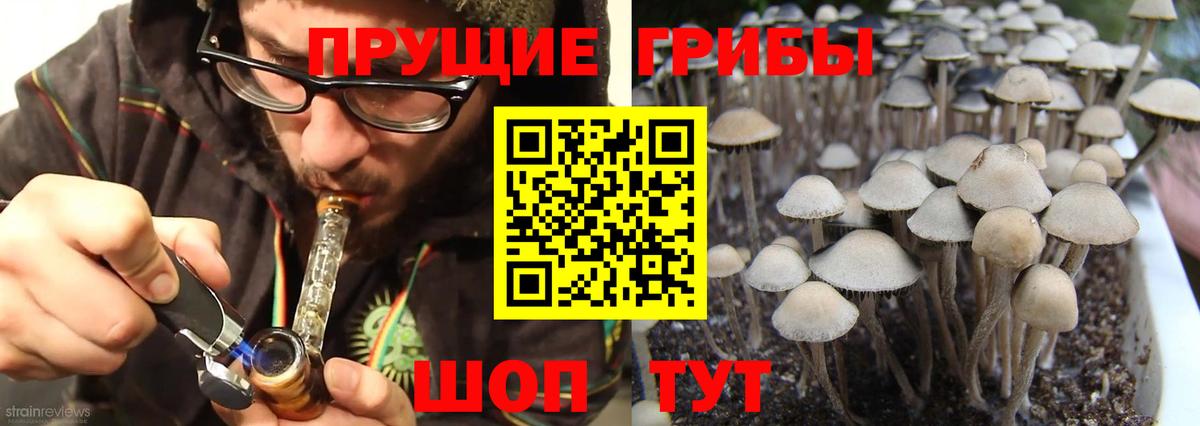 Псилоцибиновые грибы Cubensis Мичуринск
