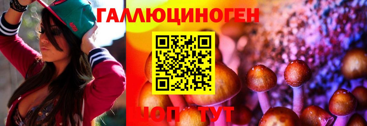 Галлюциногенные грибы прущие грибы Мичуринск